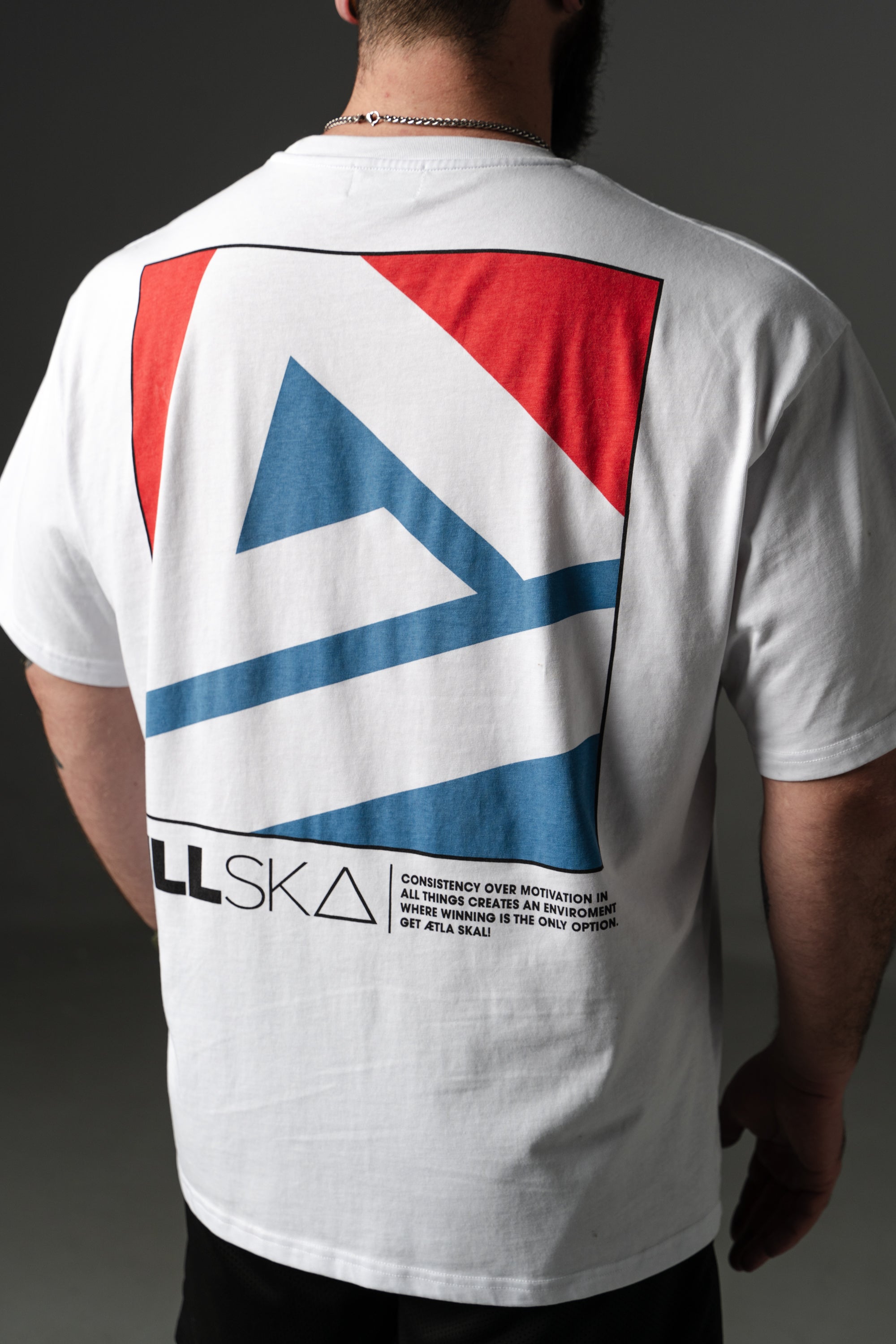 ILLSKA Wordmark RWB T-SHIRT
